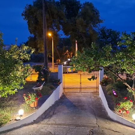 Palio Villa PalaiónTsiflíkion Exterior foto