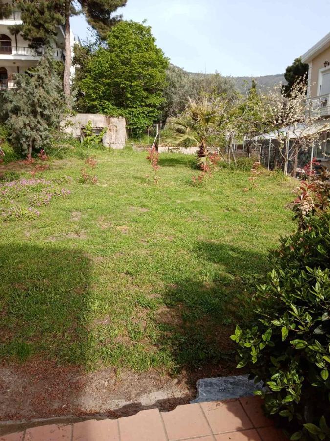 Palio Villa PalaiónTsiflíkion Exterior foto