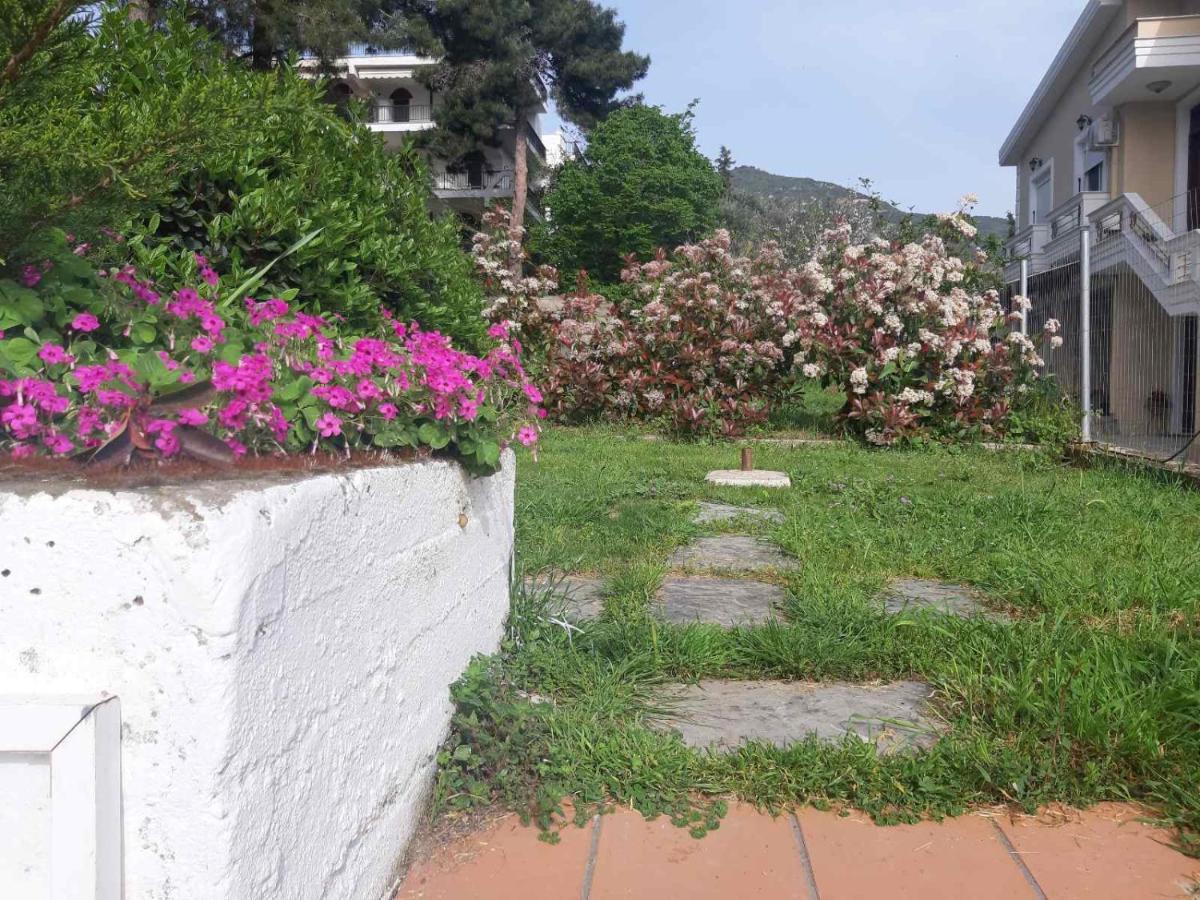 Palio Villa PalaiónTsiflíkion Exterior foto