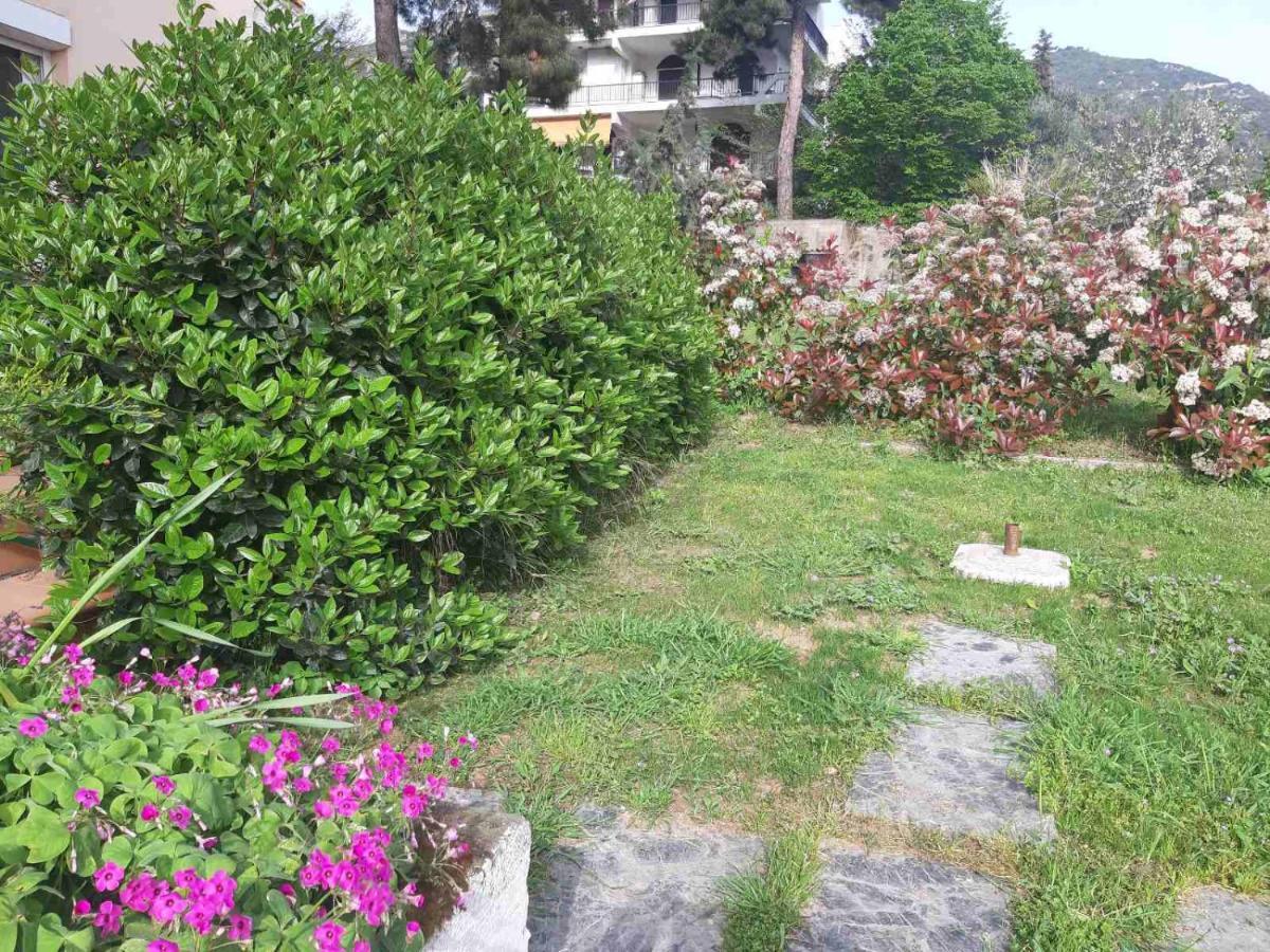 Palio Villa PalaiónTsiflíkion Exterior foto
