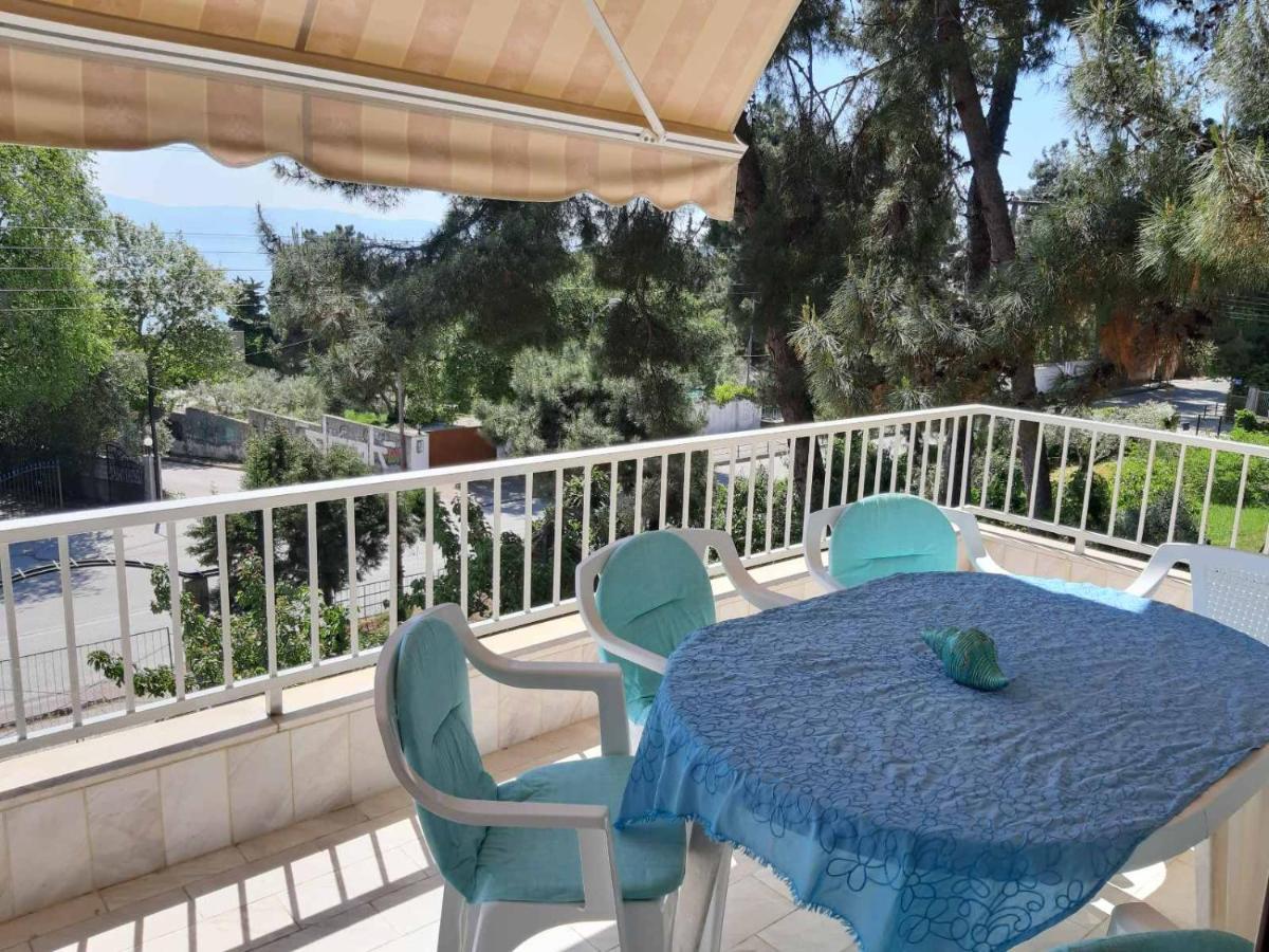 Palio Villa PalaiónTsiflíkion Exterior foto