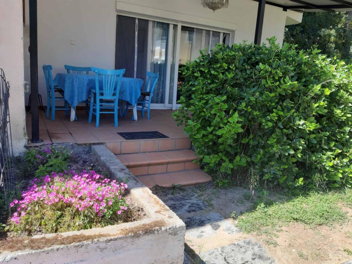 Palio Villa PalaiónTsiflíkion Exterior foto